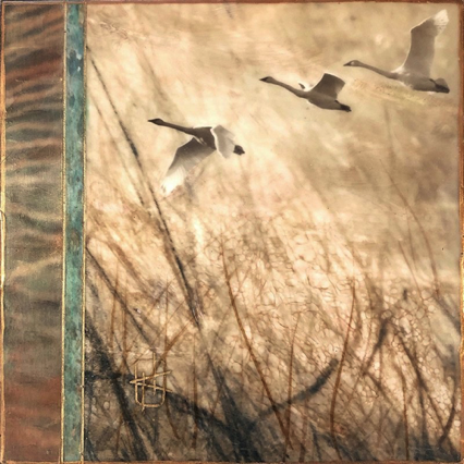 Field and Flight 8x8